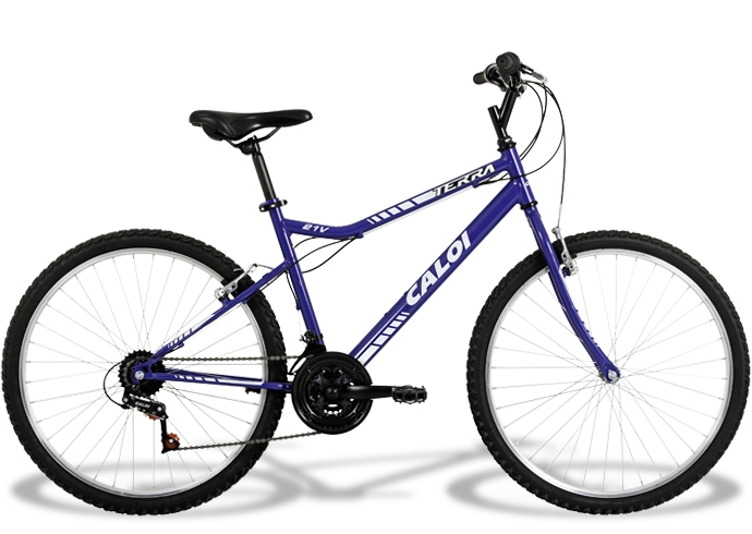 terra 2.4 bike